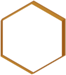 orange_hexagon_blank